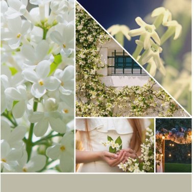 YANKEE CANDLE MIDNIGHT JASMINE SIGNATURE TUMBLER MALÝ