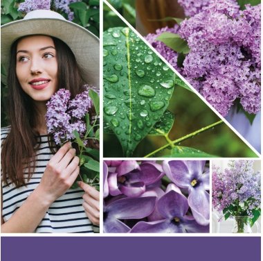 YANKEE CANDLE VOTIVNÍ SVÍČKA PLNĚNÁ VE SKLE LILAC BLOSSOMS